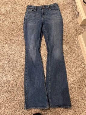 Cleo +Wolf Women’s Blue Flare Jeans - Classic Mid Wash